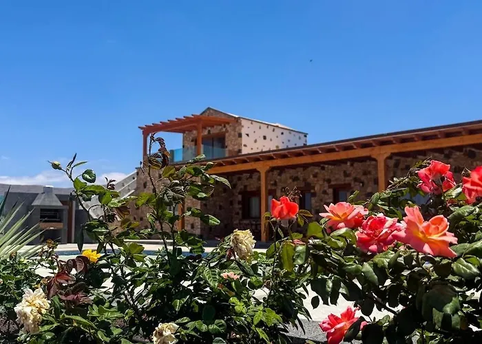 Blue Petrol - Ocean Double In Barbuja